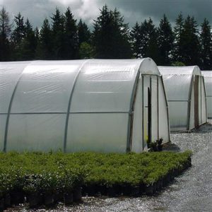 Hoop House Australia